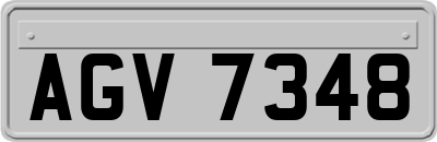 AGV7348