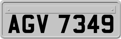 AGV7349