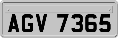 AGV7365