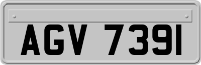AGV7391