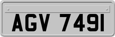 AGV7491