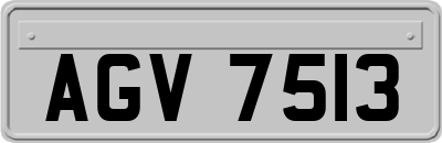 AGV7513