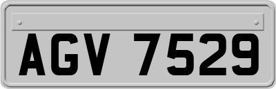 AGV7529