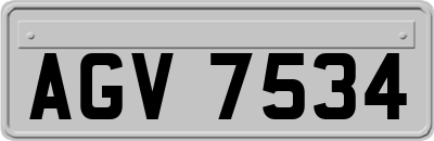 AGV7534
