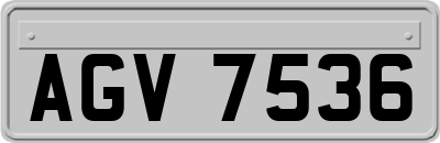 AGV7536