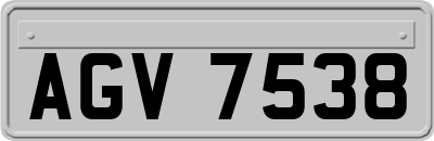 AGV7538