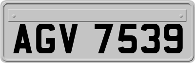 AGV7539
