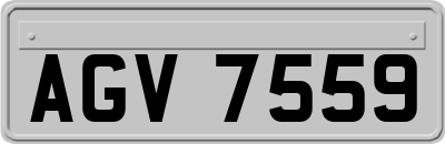 AGV7559