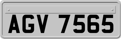 AGV7565