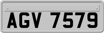 AGV7579