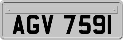AGV7591