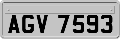 AGV7593