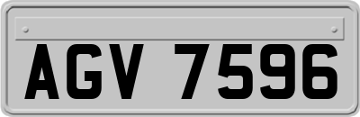 AGV7596