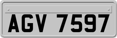 AGV7597