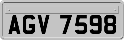 AGV7598