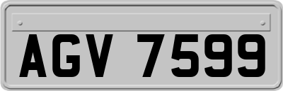 AGV7599