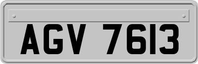 AGV7613