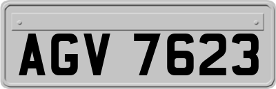 AGV7623