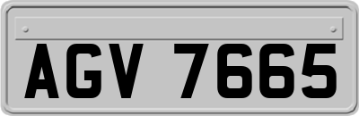 AGV7665
