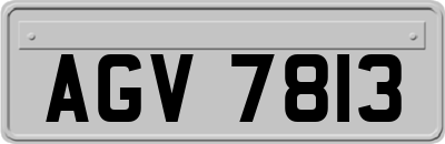 AGV7813
