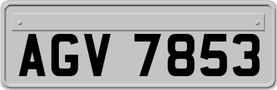 AGV7853