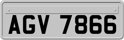 AGV7866
