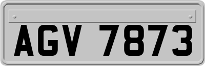 AGV7873