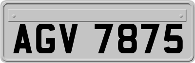 AGV7875