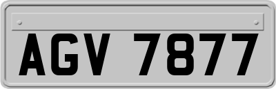 AGV7877