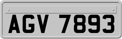 AGV7893