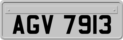 AGV7913