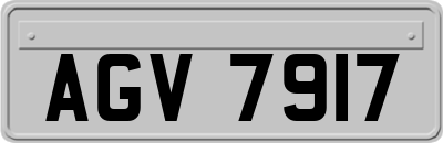 AGV7917