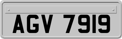 AGV7919