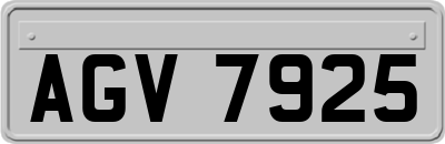 AGV7925