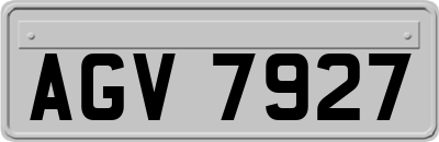 AGV7927