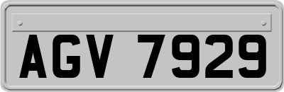 AGV7929