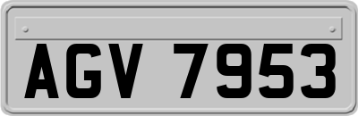 AGV7953