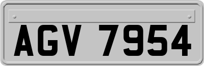 AGV7954