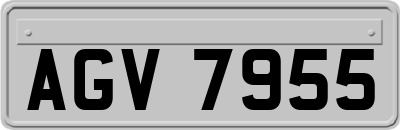 AGV7955