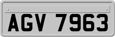 AGV7963