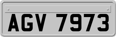AGV7973