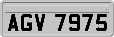 AGV7975