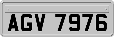 AGV7976