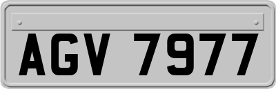 AGV7977