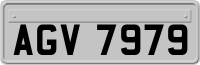 AGV7979