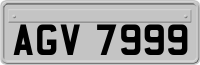 AGV7999
