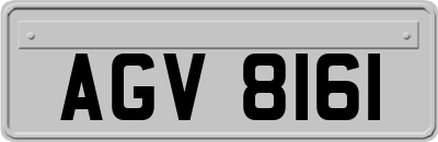 AGV8161