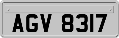 AGV8317