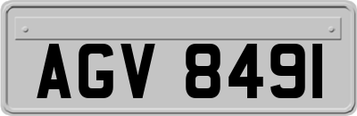 AGV8491