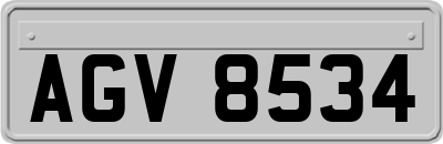 AGV8534